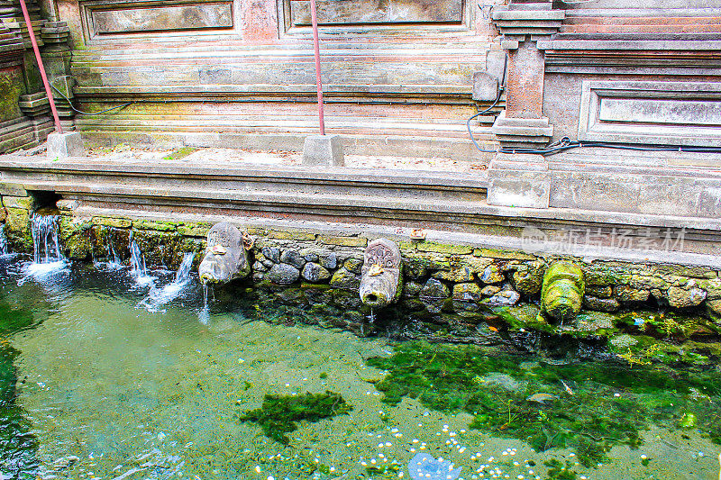 印度尼西亚巴厘岛的Tirta Empul temple。